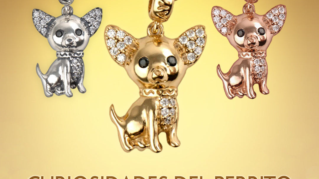 El Perrito Chihuahua