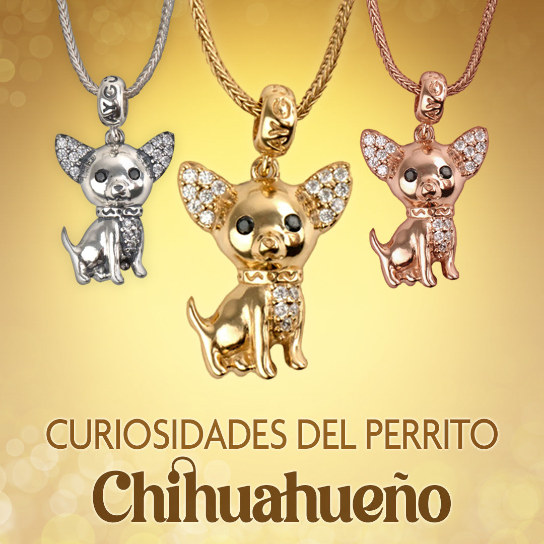 El Perrito Chihuahua